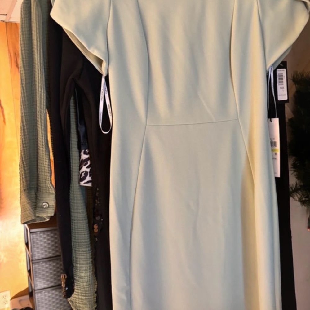 Elegant Mint Green Dress